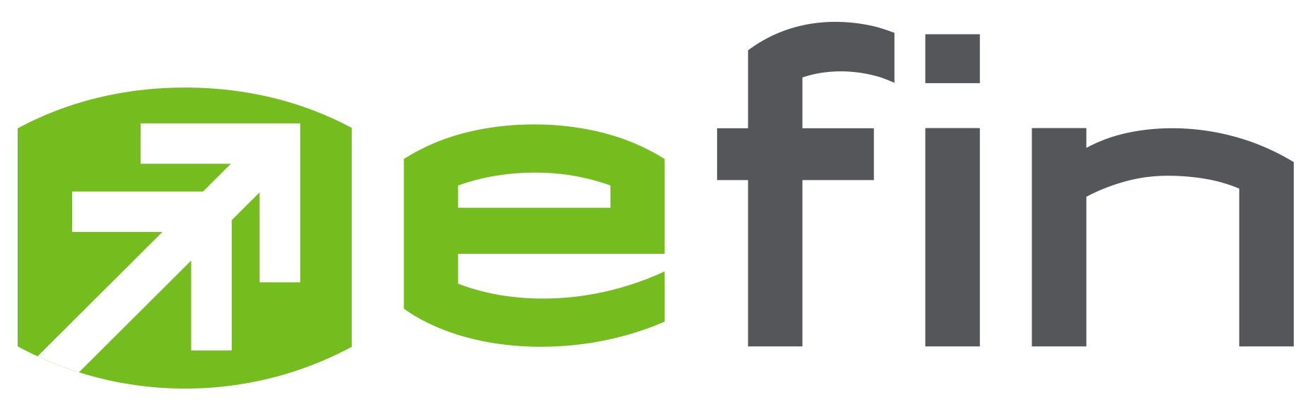 logo efin