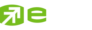 logo efin